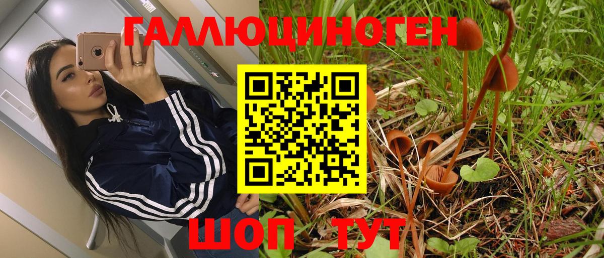 Родники  наркота  Вход с VPN  Псилоцибиновые грибы ЛСД 